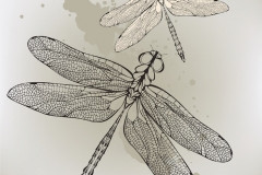 Simple line art of a dragonfly tattoo on a woman's wrist, symbolizing simplicity and freedom.